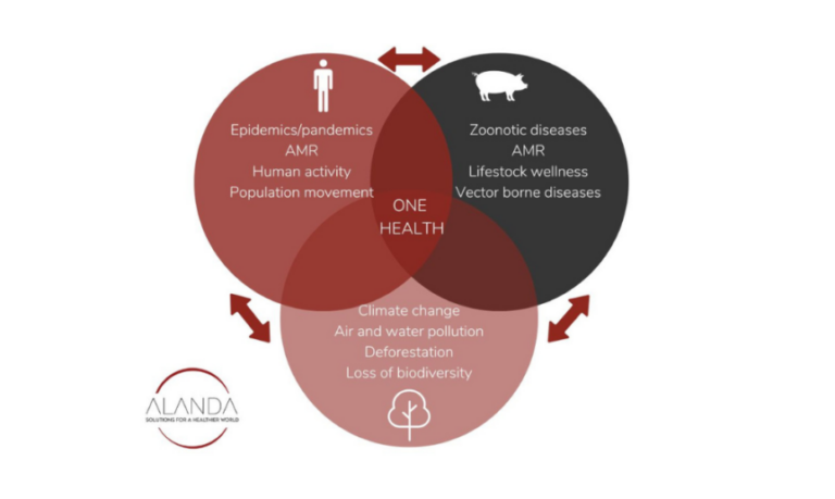 The One Health Approach: What is it and why is it so important ...